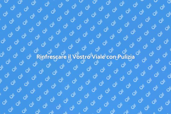 Lavaggio a Pressione: Rinnova il Vostro Viale