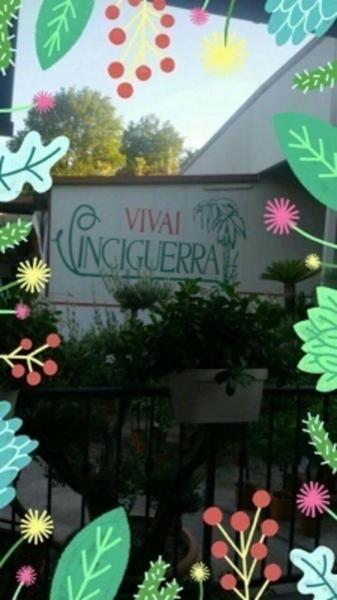 Vivai Vinciguerra  - Foto 1