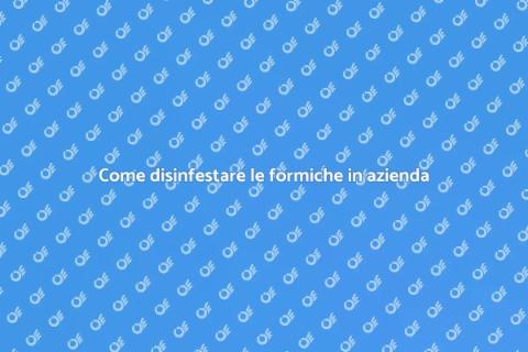 Disinfestazione formiche in azienda
