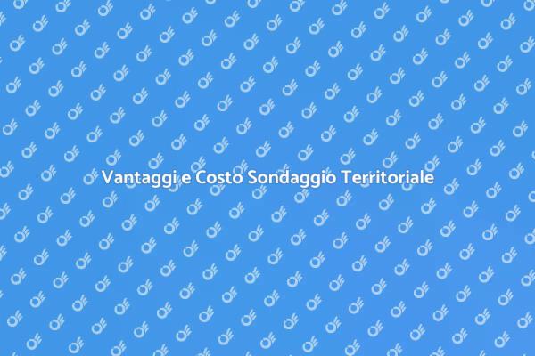 Costi e Vantaggi del Sondaggio sul Territorio