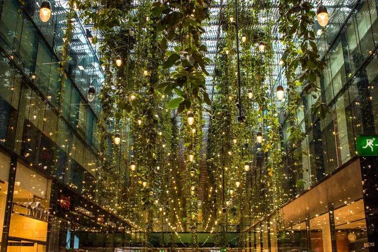 indoor gardening fine