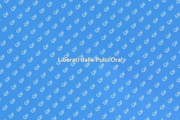 Soluzioni Efficaci contro le Pulci