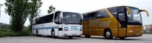 Lollibus  - Foto 1