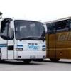 Lollibus 