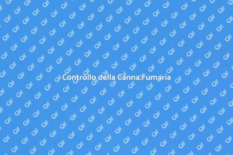 Ispezione della Canna Fumaria