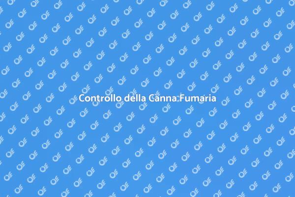 La Sicurezza della Canna Fumaria