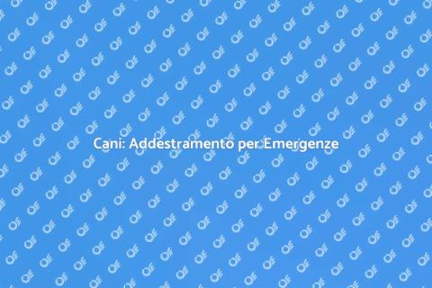 Allenamento Cani per Emergenze