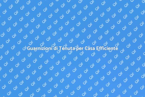 Migliora l'Efficienza con Guarnizioni
