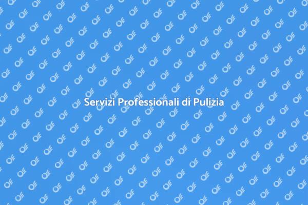 Scopri l'Importanza della Pulizia