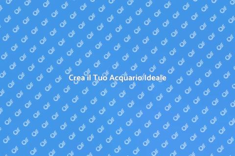 Progettazione Acquario: Guida Completa