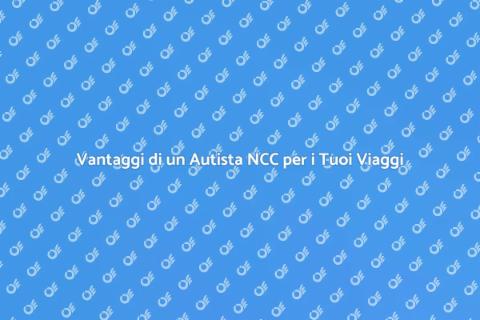 Autista NCC: Spostati con Stile