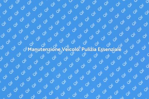 Pulizia Sistema Alimentazione Veicolo
