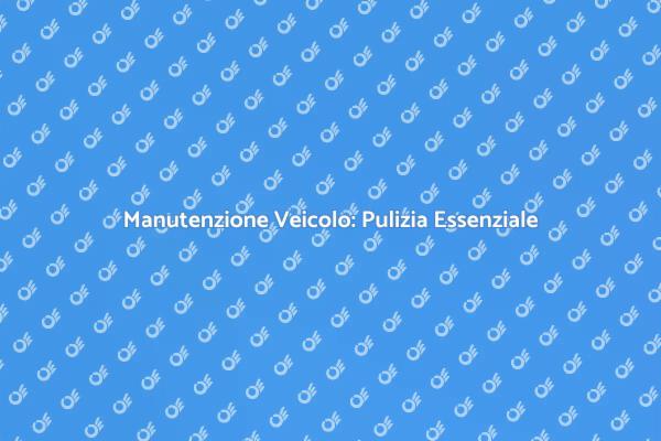 Manutenzione: Pulizia Sistema Alimentazione