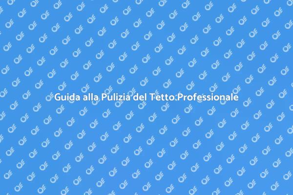 Come Scegliere un Esperto per il Tetto