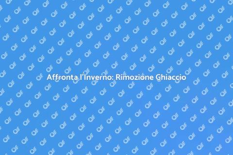 Rimozione Diga di Ghiaccio Sicura