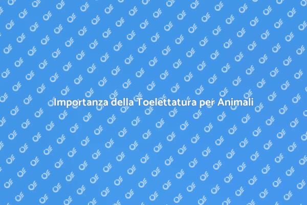 Toelettatura: Un Servizio Essenziale