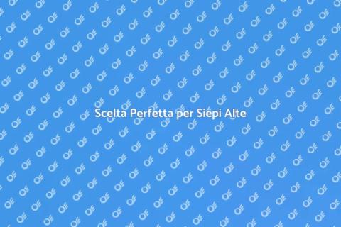 Piante da Siepe ad Alto Fusto: Guida