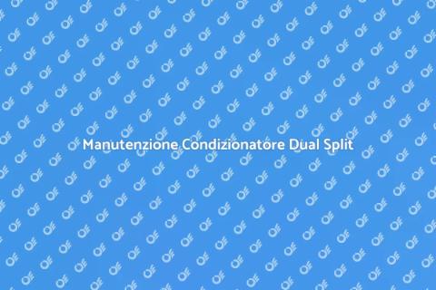 Assistenza Condizionatore Dual Split