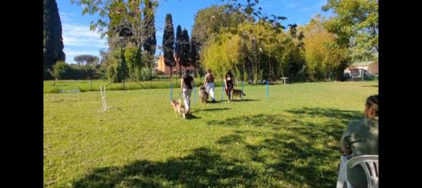 Gli amici di Full e Frida ASD - Foto 7