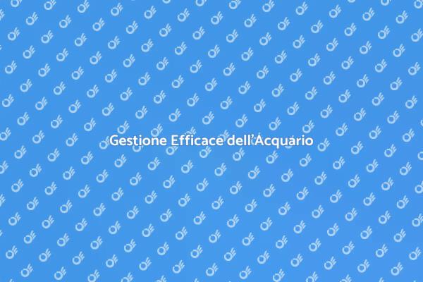 Ottimizza il Tuo Acquario Oggi Stesso