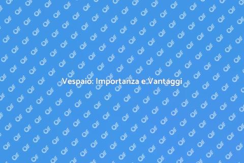 Incapsulare un Vespaio: Guida Essenziale