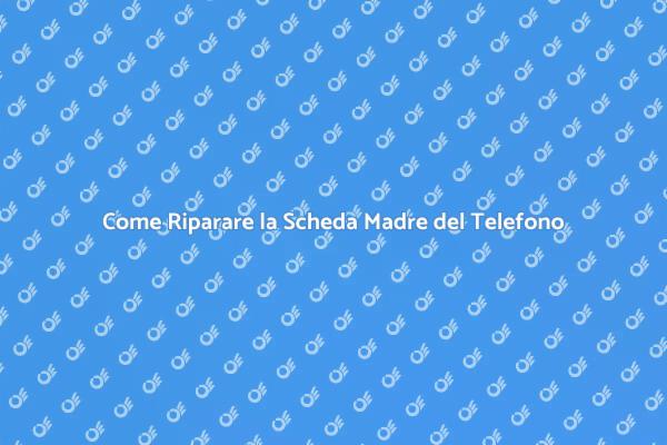 Affidati ai Professionisti per la Riparazione
