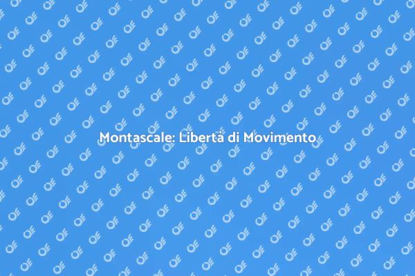 Montascale: Accessibilità e Comfort