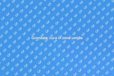 Manutenzione grondaie in zone umide