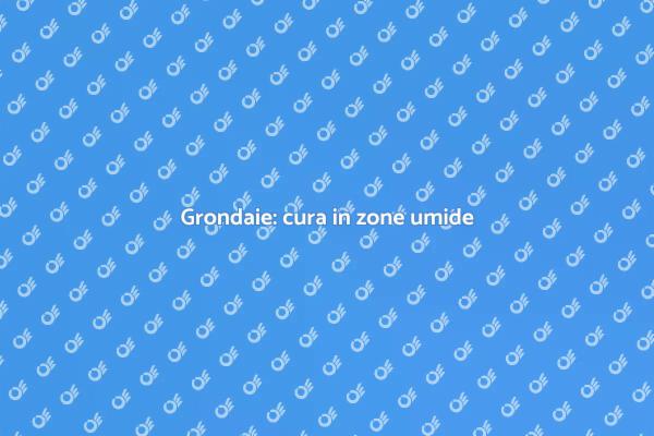 Grondaie: proteggi la tua casa