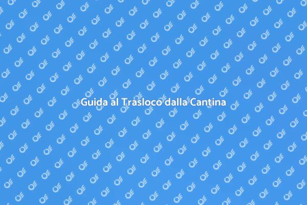 Trasloco Facile dalla Cantina