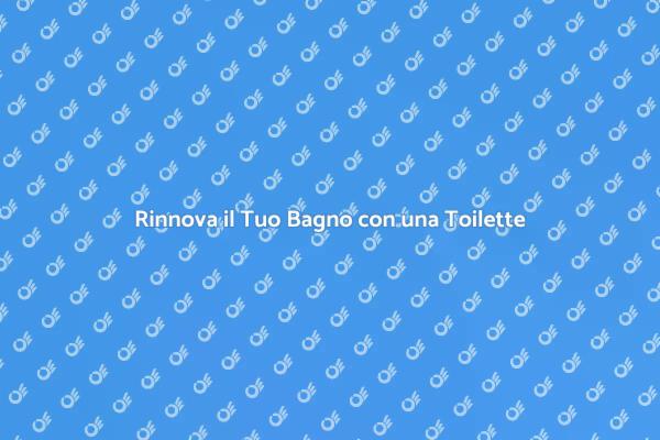 Come Installare una Toilette Moderna