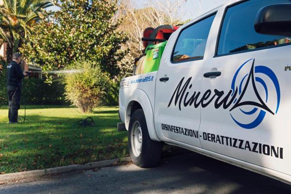 Minerva 2015 Srl - Foto 2