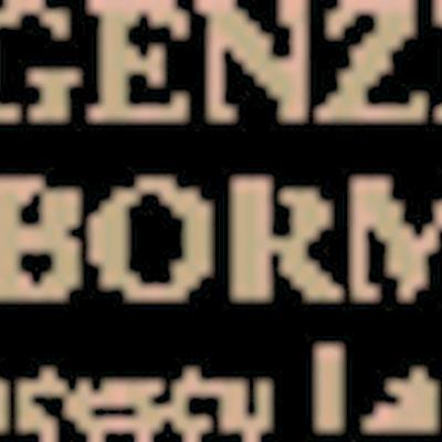 Agenzia Valbormida - Assistenza Tecnica Caldaie