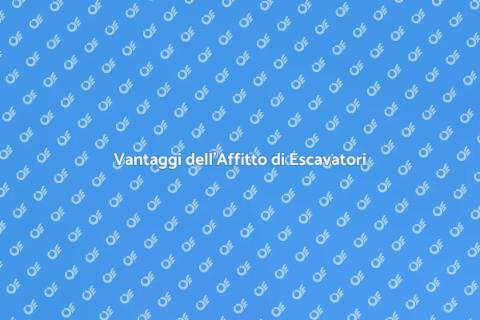 Affitto Escavatore Cingolato Efficiente