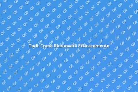 Rimozione Tarli: Guida Completa