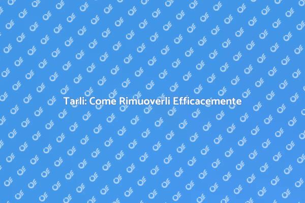 Rimozione Tarli: Tutto Quello Che Devi Sapere