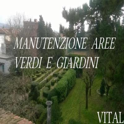Vital  - Foto 7