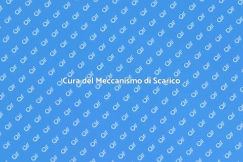 Manutenzione Meccanismo Gabinetto