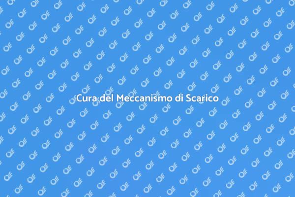 Manutenzione Essenziale del Gabinetto