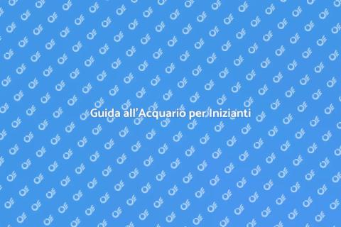 L'Acquario Perfetto per Principianti