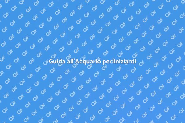 Creare il Tuo Acquario Ideale