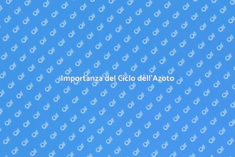 Consulenza sul Ciclo dell'Azoto