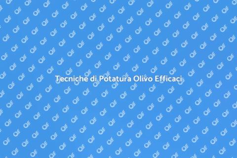 Potatura Olivo Professionale e Salute