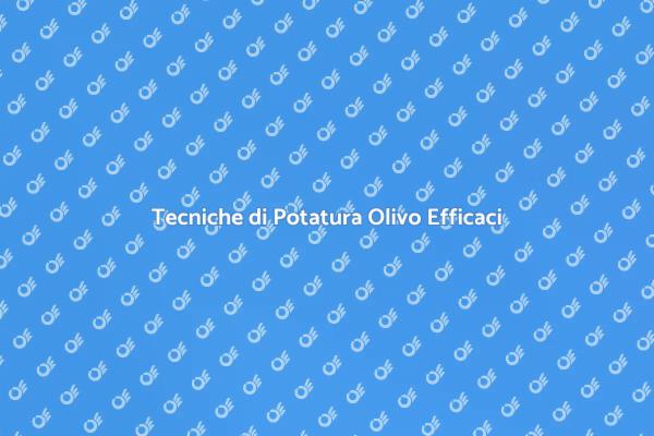 Potatura Professionale per Ulivi Sani
