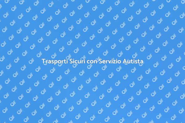 Servizio di Sicurezza con Autista