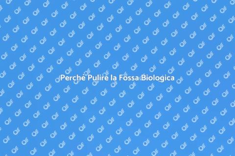 Pulizia Fossa Biologica Importanza