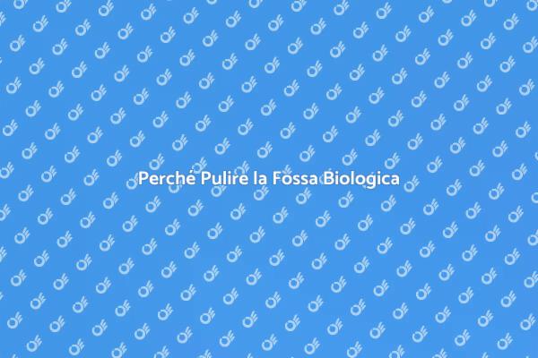Pulizia Fossa Biologica Essenziale