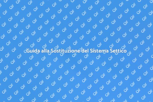 Manutenzione del Sistema Settico