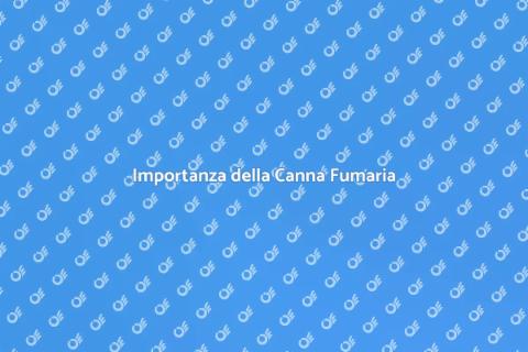 Canna Fumaria: Sicurezza Casa Garantita