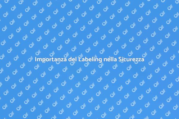 Labeling: Fondamentale per la Sicurezza